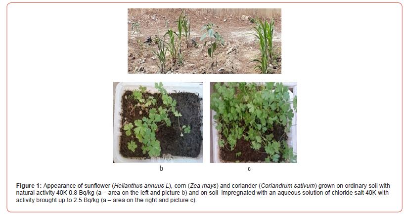 Click here to view Large Figure 1 Insights in Chemistry and Biochemistry